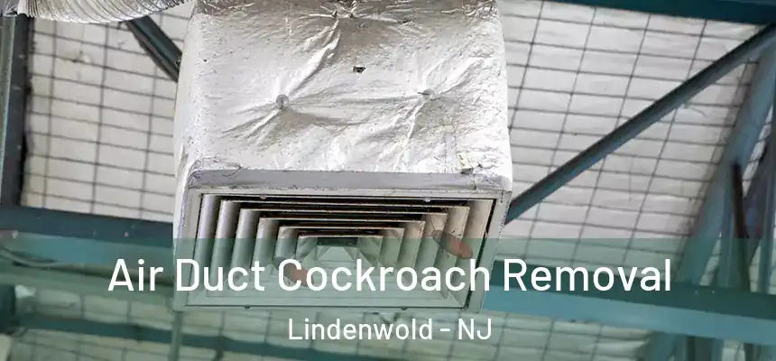 Air Duct Cockroach Removal Lindenwold - NJ
