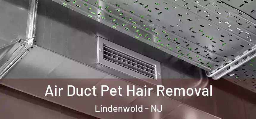  Air Duct Pet Hair Removal Lindenwold - NJ