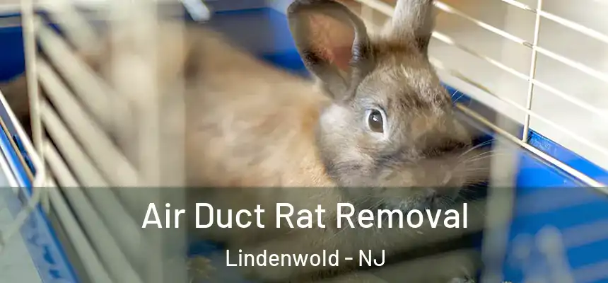  Air Duct Rat Removal Lindenwold - NJ
