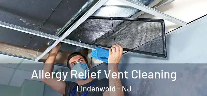  Allergy Relief Vent Cleaning Lindenwold - NJ