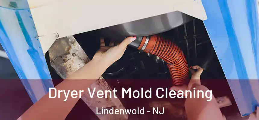 Dryer Vent Mold Cleaning Lindenwold - NJ