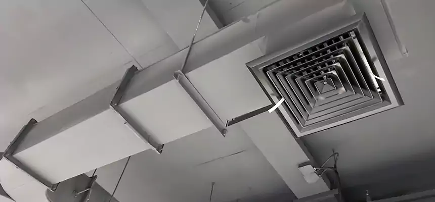 Restorative Allergy Relief Vent Cleaning – Coil, Blower & Housing Detail in Lindenwold