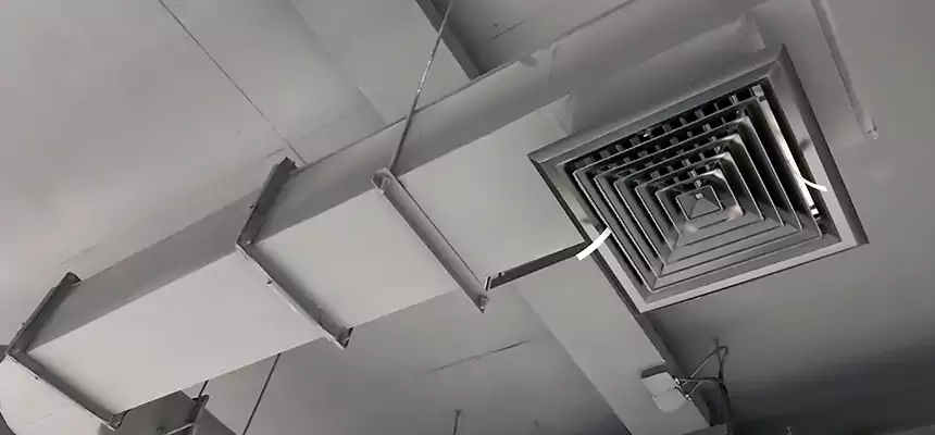 Our Pest Removal From Ducts Services in Lindenwold, NJ