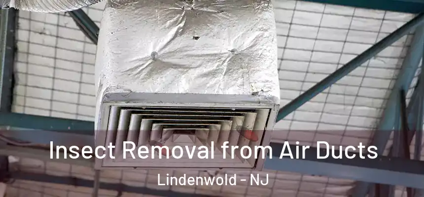  Insect Removal from Air Ducts Lindenwold - NJ