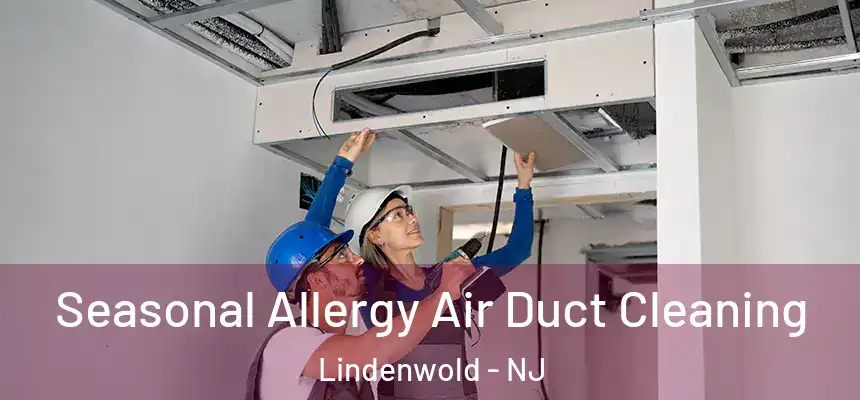 Seasonal Allergy Air Duct Cleaning Lindenwold - NJ