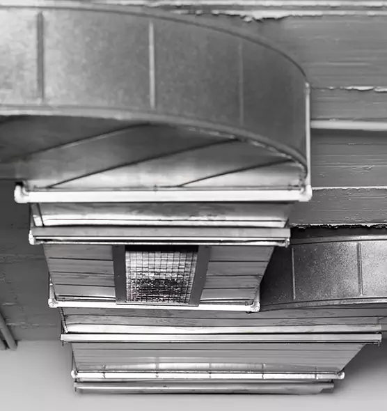 Professional Air Duct Pest Removal in Lindenwold, NJ