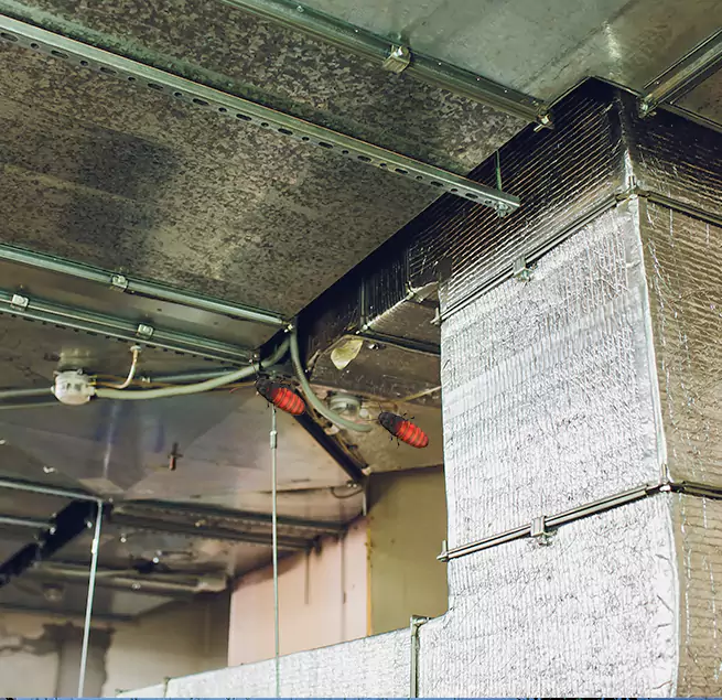 Why Homeowners & Businesses Trust Us in Lindenwold, NJ?