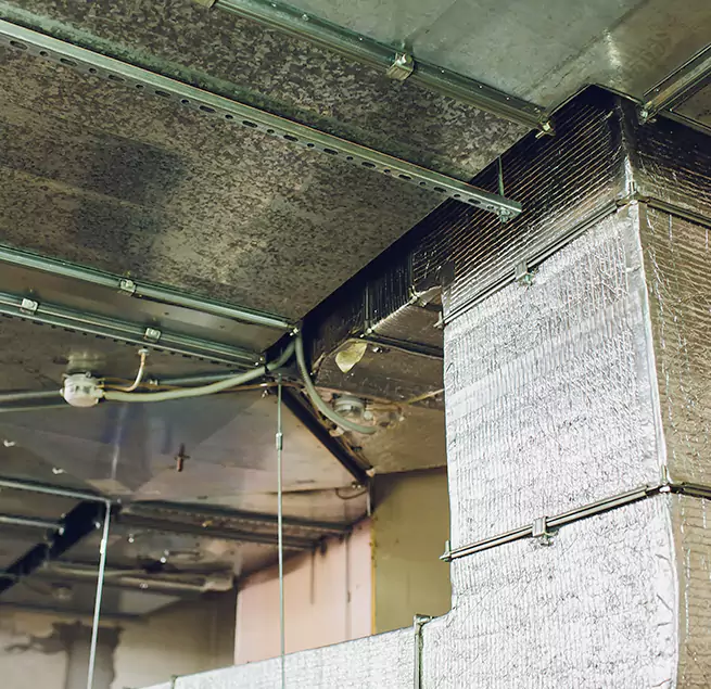 Why Homeowners & Businesses Trust Us in Lindenwold, NJ?